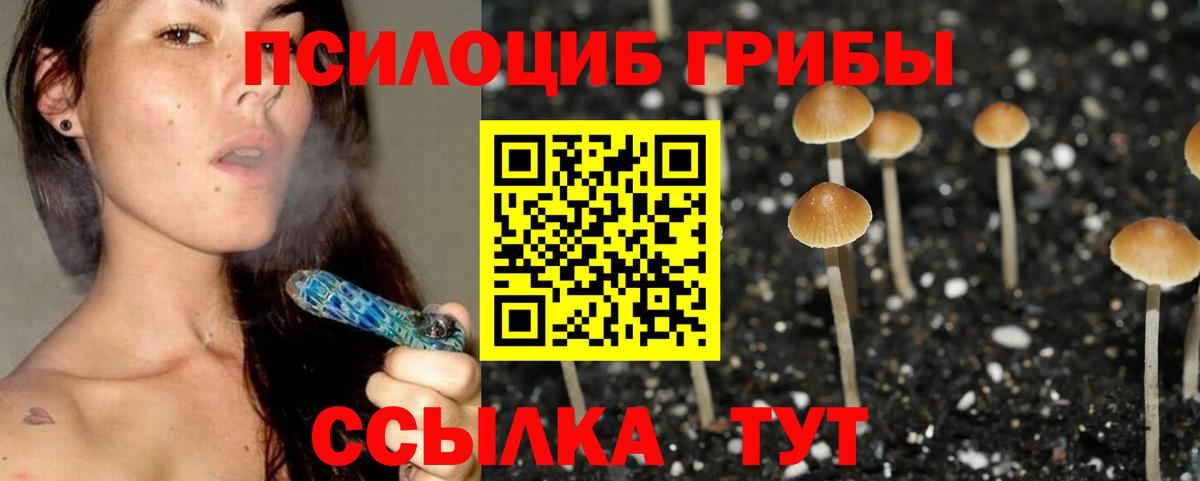 Галлюциногенные грибы Psilocybine cubensis  Вход с VPN  Лангепас 